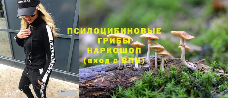 кракен   Баймак  Псилоцибиновые грибы Psilocybine cubensis 